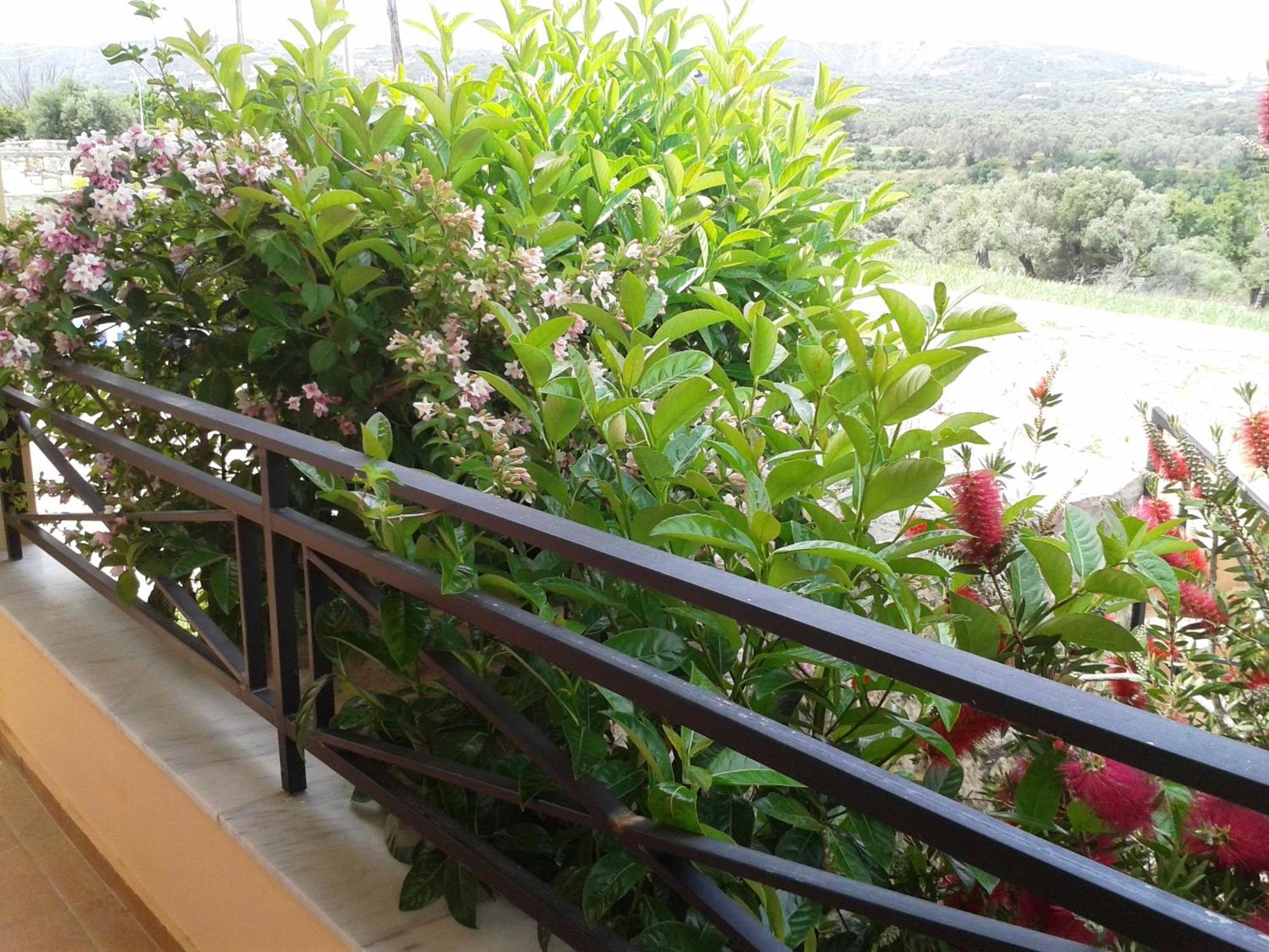 Helidonia Villas Pigí Zimmer foto
